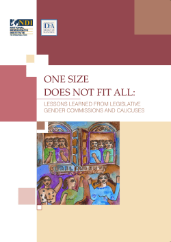 One Size Does Not Fit All: Lessons Learned from Legislative Gender