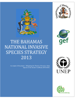 Bahamas Revised NISS 2013