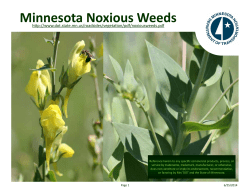 Guide to Noxious Weeds