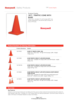 1617 - traffic cone with base