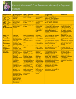 Preventative Health Care Recommendations for Dogs and Puppies