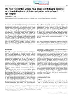 The yeast vacuolar Rab GTPase Ypt7p has an activity beyond