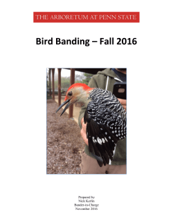 Bird Banding &ndash; Fall 2016 - The Arboretum at Penn State