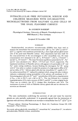 intracellular free potassium, sodium and chloride measured with ion