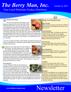 Newsletter - The Berry Man