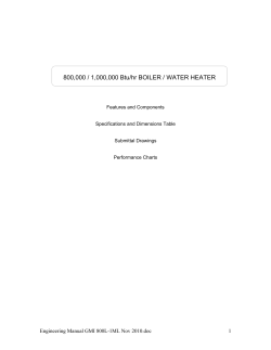 800,000 / 1,000,000 Btu/hr BOILER / WATER HEATER