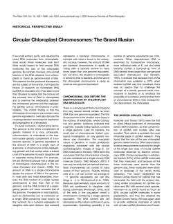 Circular Chloroplast Chromosomes: The Grand
