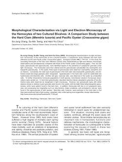 Morphological Characterization via Light and Electron Microscopy of