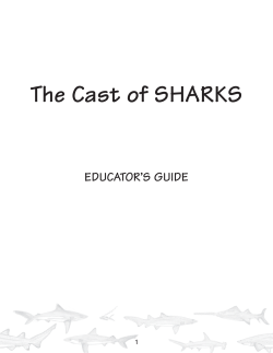 Sharks-The Cast of Sharks
