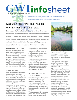 ESTUARIES: WHERE FRESH WATER MEETS THE SEA