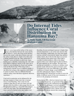 Do Internal Tides Influence Coral Distribution in Hanauma Bay?
