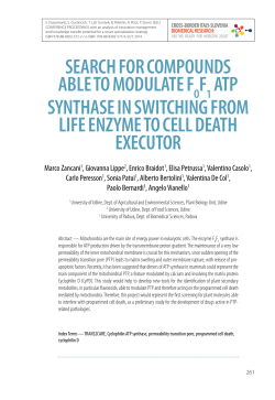 SEARCH FOR COMPOUNDS ABLE TO MODULATE F F ATP