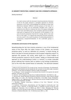 EU MINORITY PROTECTION: A MODEST CASE FOR A SYNERGETIC APPROACH