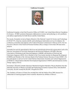 Guillermo Fernandez Guillermo Fernandez is the Chief Executive