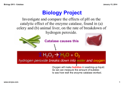 Biology 2013