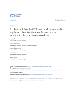 A role for a Rab4-like GTPase in endocytosis and in