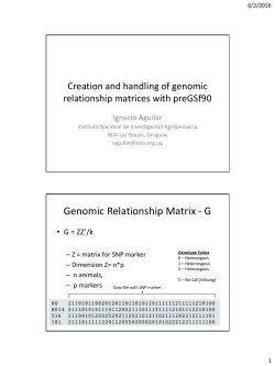 Genomic Relationship Matrix