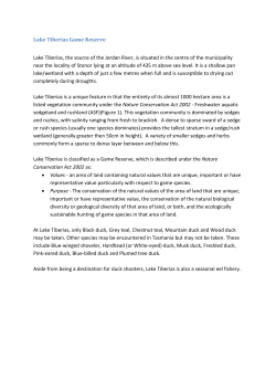 Lake Tiberias Information - Southern Midlands Council