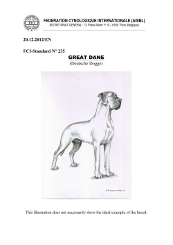 great dane