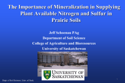 The importance of mineralization in supplying plant available