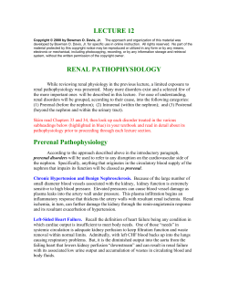 Lecture 12 - Renal Pathophysiology