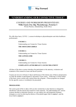 understanding our connective tissue