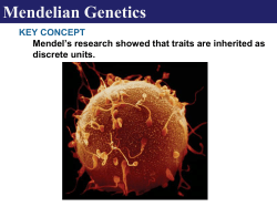 Mendelian Genetics