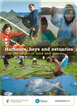 cockles - Department of Conservation