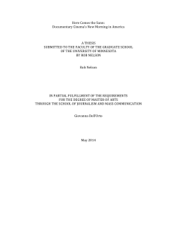 Here Comes the Sunn: Documentary Cinema`s New