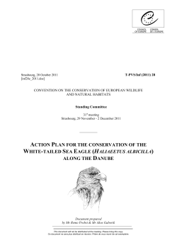 action plan for the conservation of the white