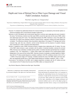 Depth and Area of Retinal Nerve Fiber Layer Damage and Visual