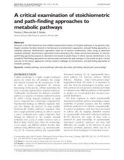 A critical examination of stoichiometric and path