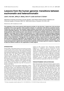 Lessons from the human genome: transitions