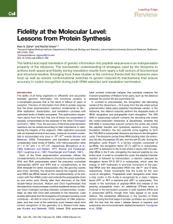 Fidelity at the Molecular Level: Lessons from Protein Synthesis