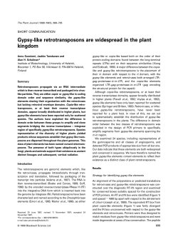 Gypsy-like retrotransposons are widespread in the plant kingdom