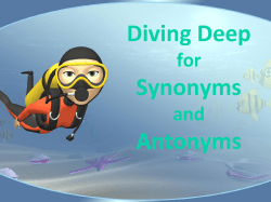 Synonyms and Antonyms
