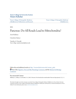 Pancreas: Do All Roads Lead to Mitochondria?