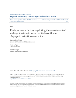 Environmental factors regulating the recruitment of walleye Sander