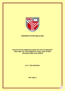 UNIVERSITI PUTRA MALAYSIA QUANTITATIVE OBSERVATIONS