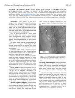 INVERTED CHANNELS IN ARABIA TERRA, MARS: REMNANTS OF