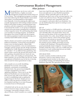 Commonsense Bluebird Management