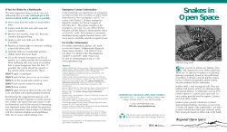 Snakes in Open Space - Midpeninsula Regional Open Space District