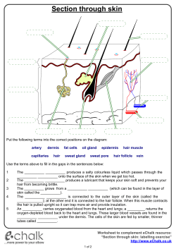 atomic structure number quiz