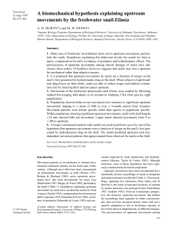 A biomechanical hypothesis explaining upstream movements by the