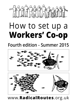 How to set up a Workers` Co-op