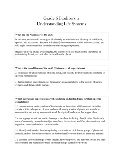 Biodiversity Unit Plan - Miss Remondi