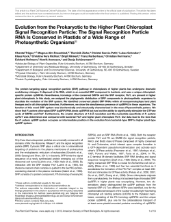 Evolution from the Prokaryotic to the Higher Plant Chloroplast Signal