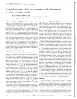 Contractile responses of the rat gastrocnemius and soleus muscles