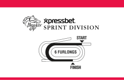 sprint division