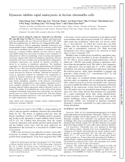Dynasore inhibits rapid endocytosis in bovine chromaffin cells